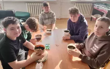Uczniowie kl 4, 5 i 6 sieją szpinak na lekcji