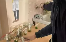 Uczniowie klasy si&oacute;dmej przeprowadzają eksperyment &quot;Barwniki roślinne w szpinaku&quot; metodą chromatografii