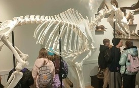 Uczniowie zwiedzają Muzeum Puszczy Kampinoskiej