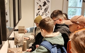Uczniowie zwiedzają Muzeum Puszczy Kampinoskiej