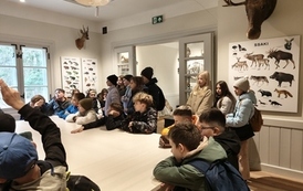Uczniowie zwiedzają Muzeum Puszczy Kampinoskiej