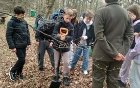 Uczniowie sadzą drzewka brzozy ciemnej 